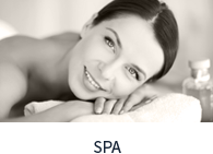 spa services denver co